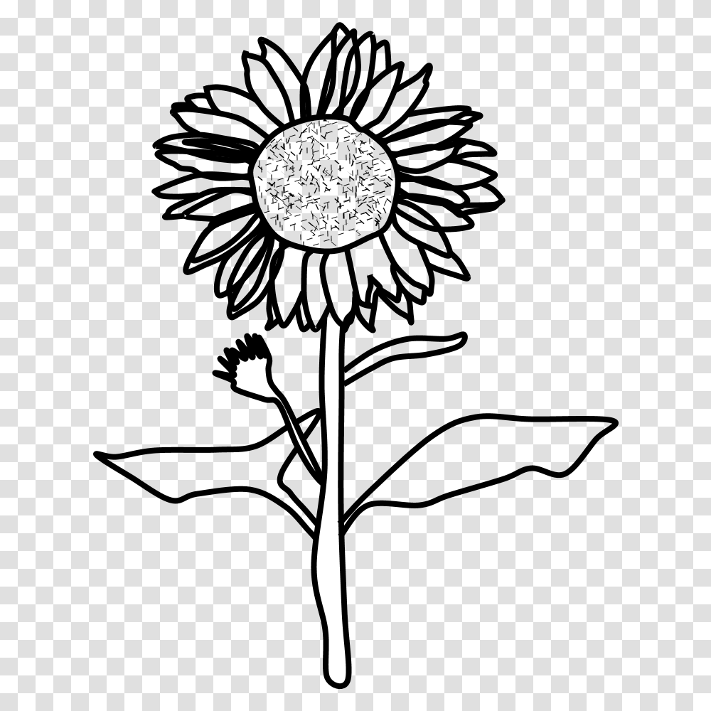 Sunflower Black And White Sunflower Black And White, Silhouette, Stencil, Sport, Sports Transparent Png