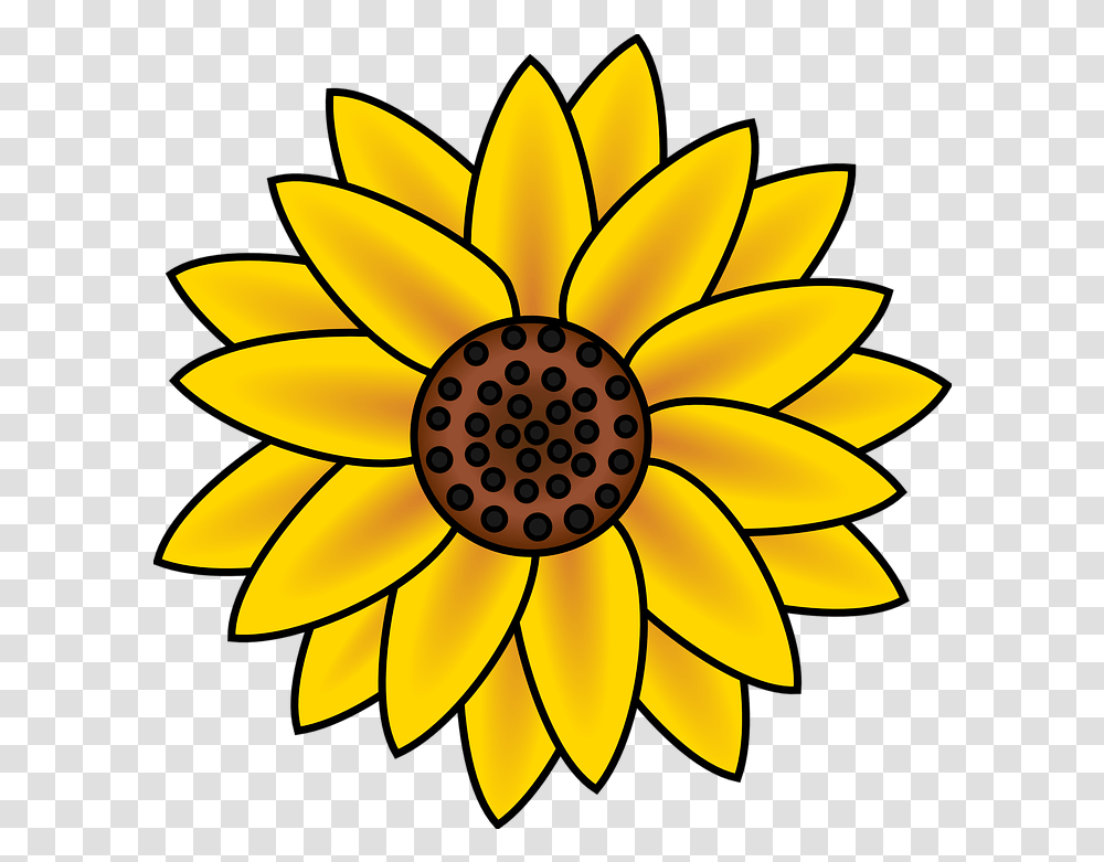 Sunflower Blossom Petals Free Vector Graphic On Pixabay Easy Cute Sunflower Drawing, Plant, Lamp, Treasure Flower Transparent Png