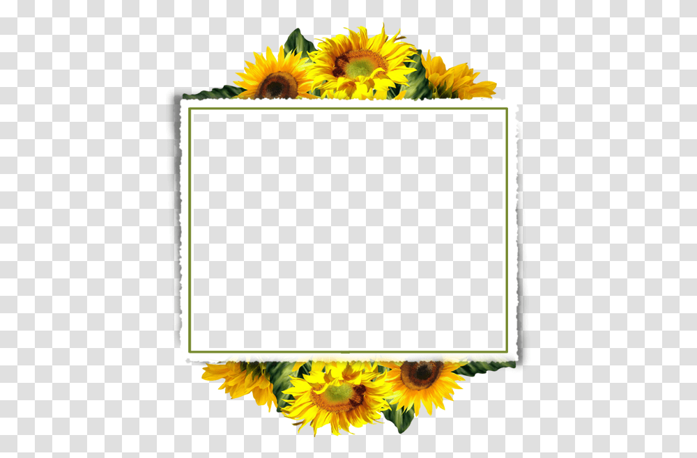 Sunflower Border Design Sunflower Frame Border, Plant, Blossom, Monitor, Screen Transparent Png