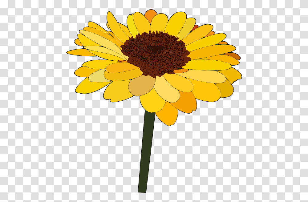 Sunflower Cartoon Cliparts, Plant, Blossom, Daisy, Daisies Transparent Png