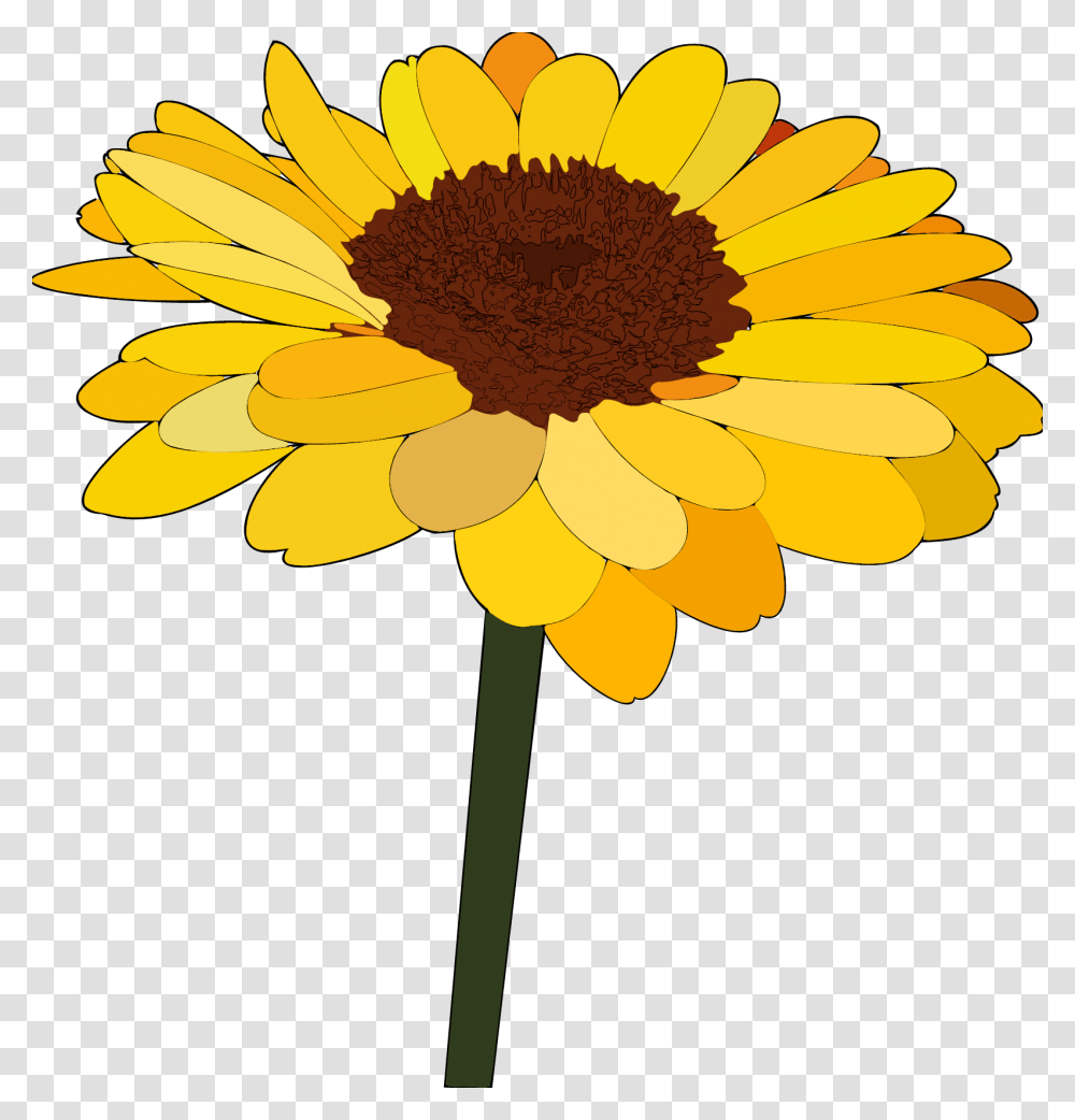 Sunflower Cartoon Drawing Sunflower Cartoon, Plant, Blossom, Petal, Daisy Transparent Png