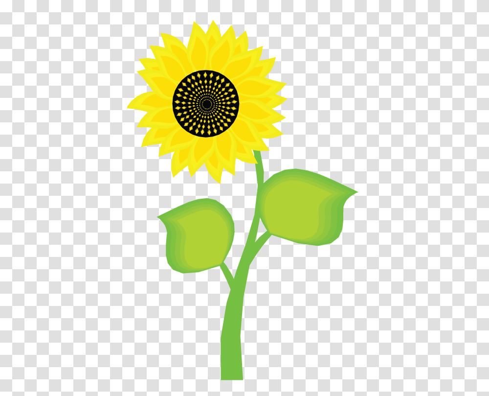 Sunflower Cartoon, Plant, Blossom, Daisy, Daisies Transparent Png