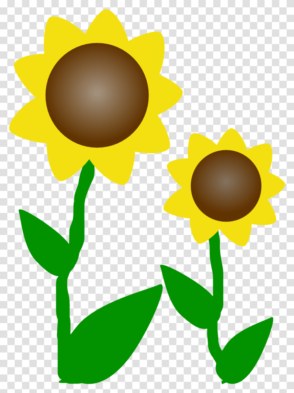 Sunflower Clip Art Clipart Clip Art Flowers, Plant, Blossom, Daffodil, Daisy Transparent Png