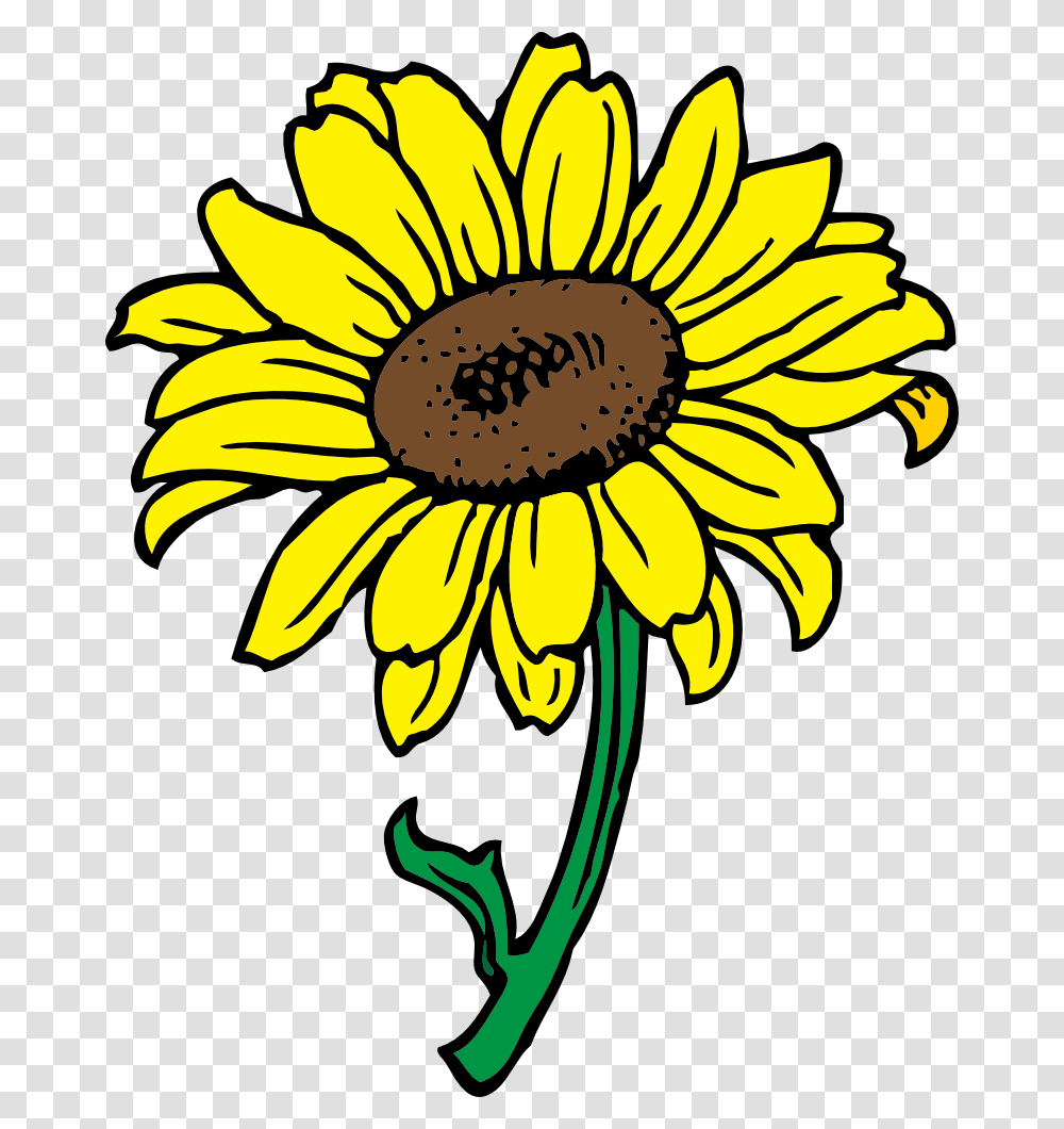 Sunflower Clip Art Free Printable, Plant, Blossom, Banana, Fruit Transparent Png