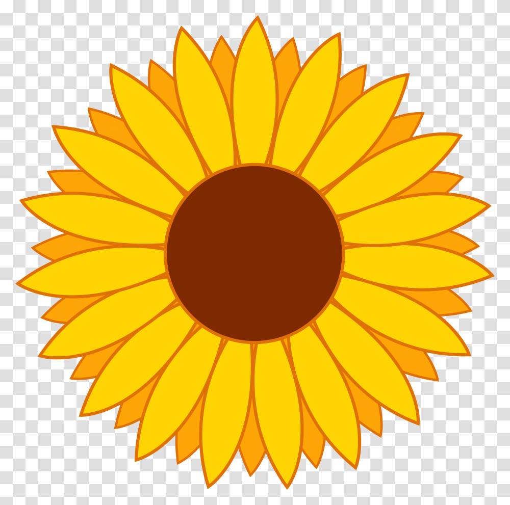 Sunflower Clip Art Free Printable, Plant, Blossom Transparent Png