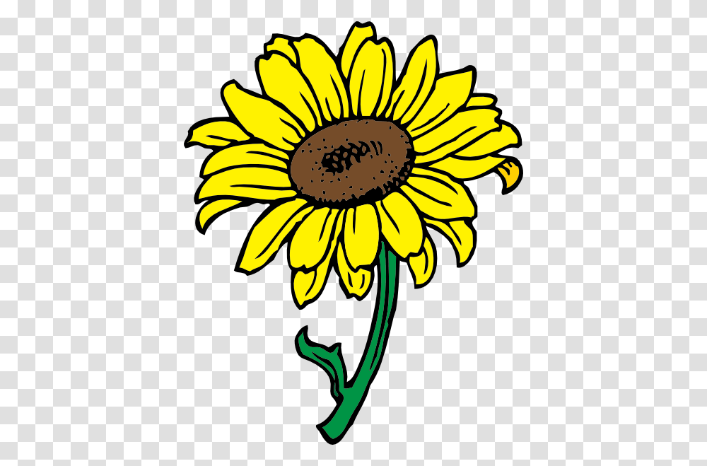 Sunflower Clip Art Free Vector, Plant, Blossom, Banana, Fruit Transparent Png