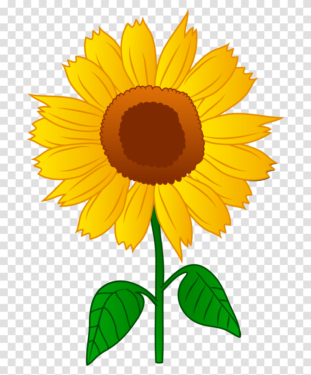 Sunflower Clip Art Images Black, Plant, Blossom, Banana, Fruit Transparent Png