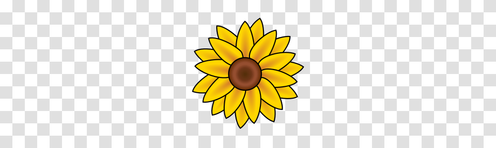 Sunflower Clip Art Mediamons, Plant, Blossom, Lamp, Vegetation Transparent Png