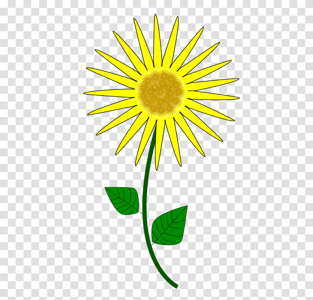 Sunflower Clip Art, Plant, Blossom, Daisy, Daisies Transparent Png