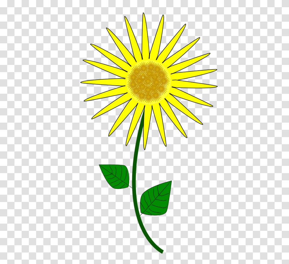 Sunflower Clip Art, Plant, Blossom, Daisy, Daisies Transparent Png