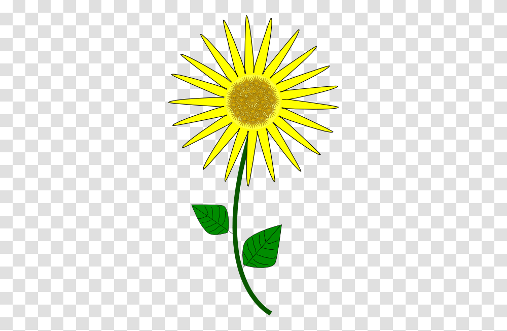 Sunflower Clip Art, Plant, Blossom, Daisy, Daisies Transparent Png