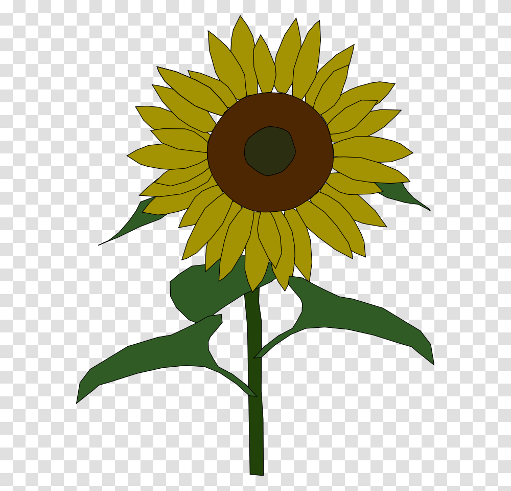 Sunflower Clip Arts Download, Plant, Blossom, Painting Transparent Png