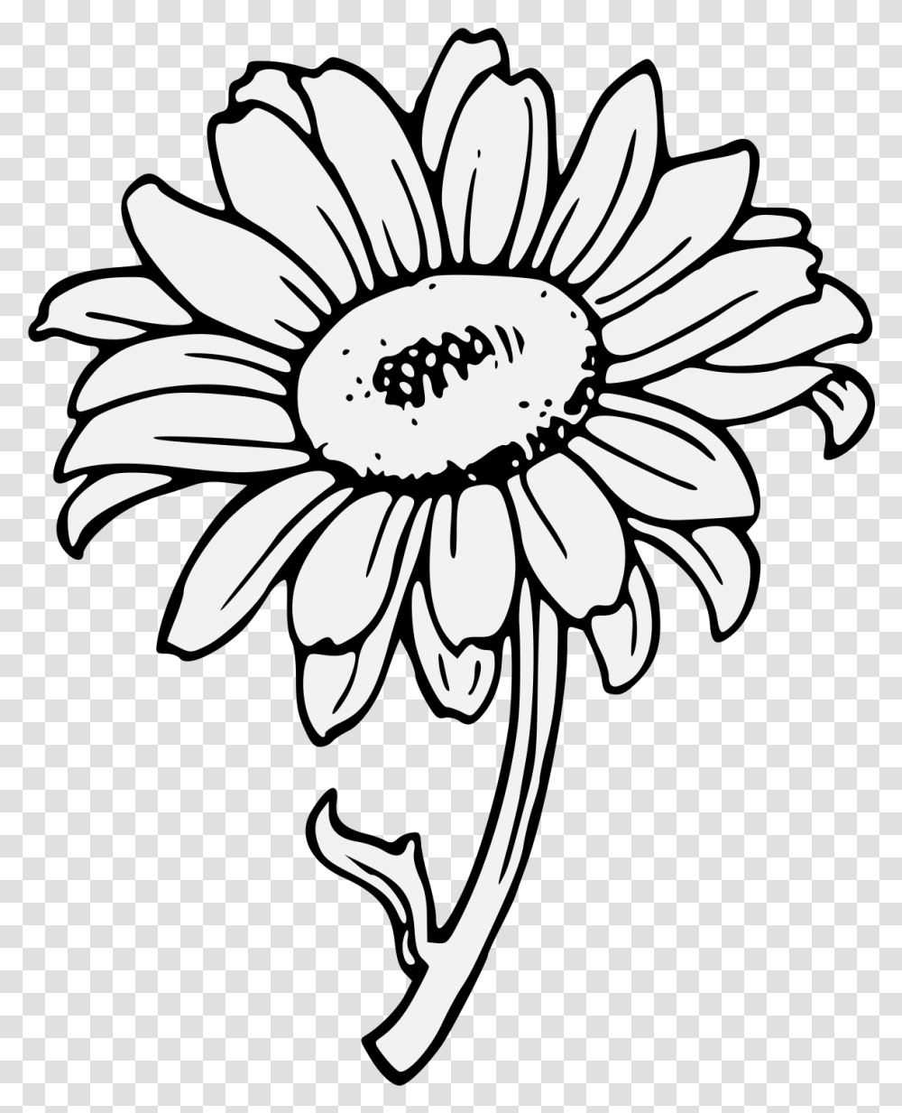 Sunflower Clipart Background Download Clip Art Of Yellow Sunflower, Plant, Blossom, Daisy, Daisies Transparent Png