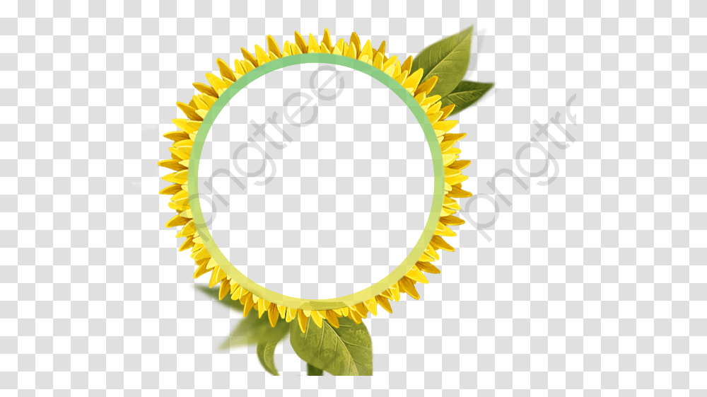 Sunflower Clipart Border Bunga Matahari, Plant, Blossom, Fungus, Photography Transparent Png