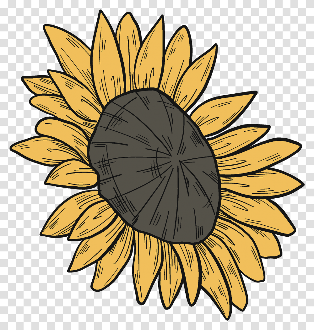 Sunflower Clipart Free Download Creazilla Lovely, Plant, Blossom, Clock Tower, Architecture Transparent Png