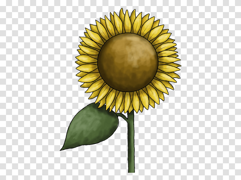 Sunflower Clipart Free Images Clip Art, Plant, Banana, Fruit, Food Transparent Png
