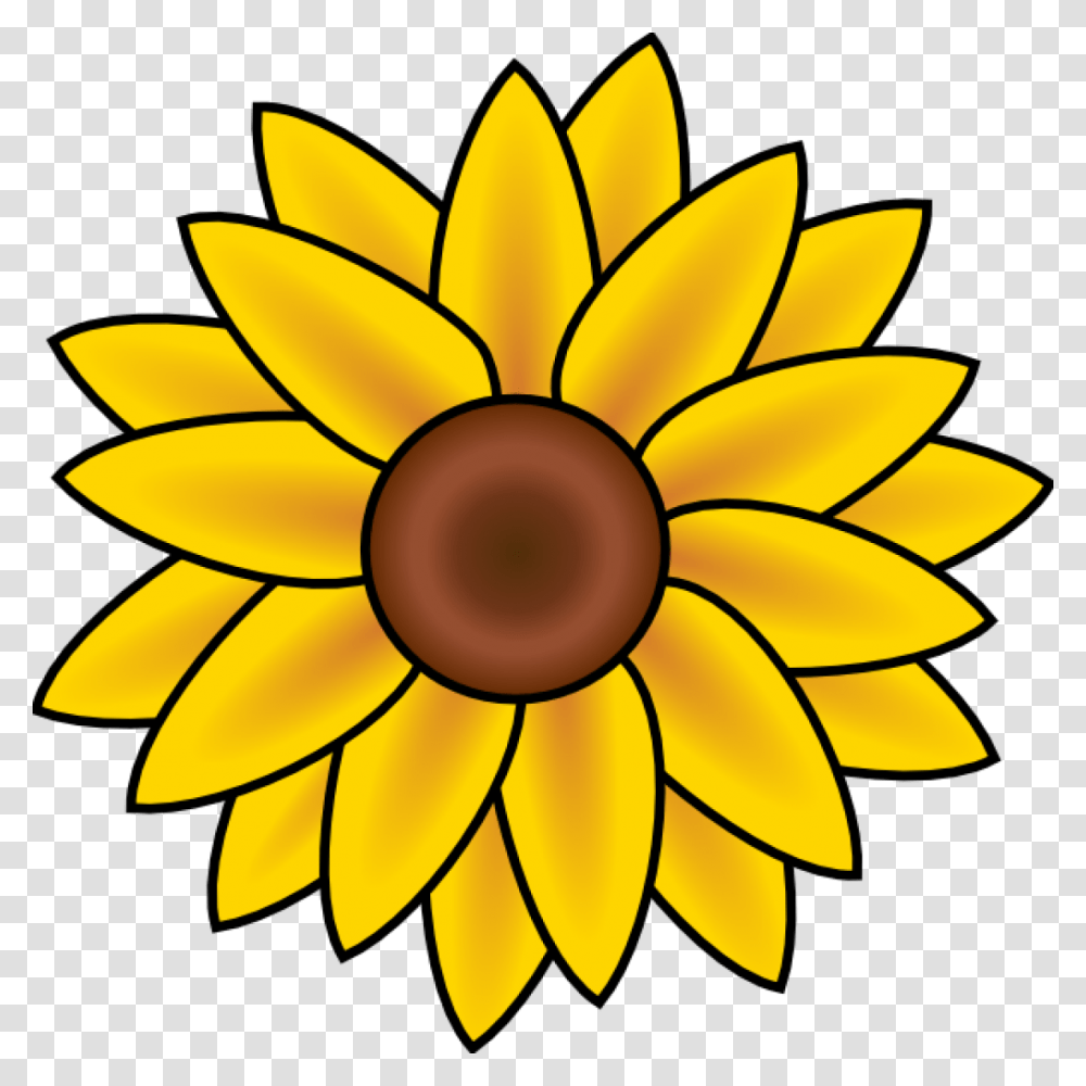 Sunflower Clipart Free Pencil Clipart House Clipart Online Download, Lamp, Plant, Blossom Transparent Png