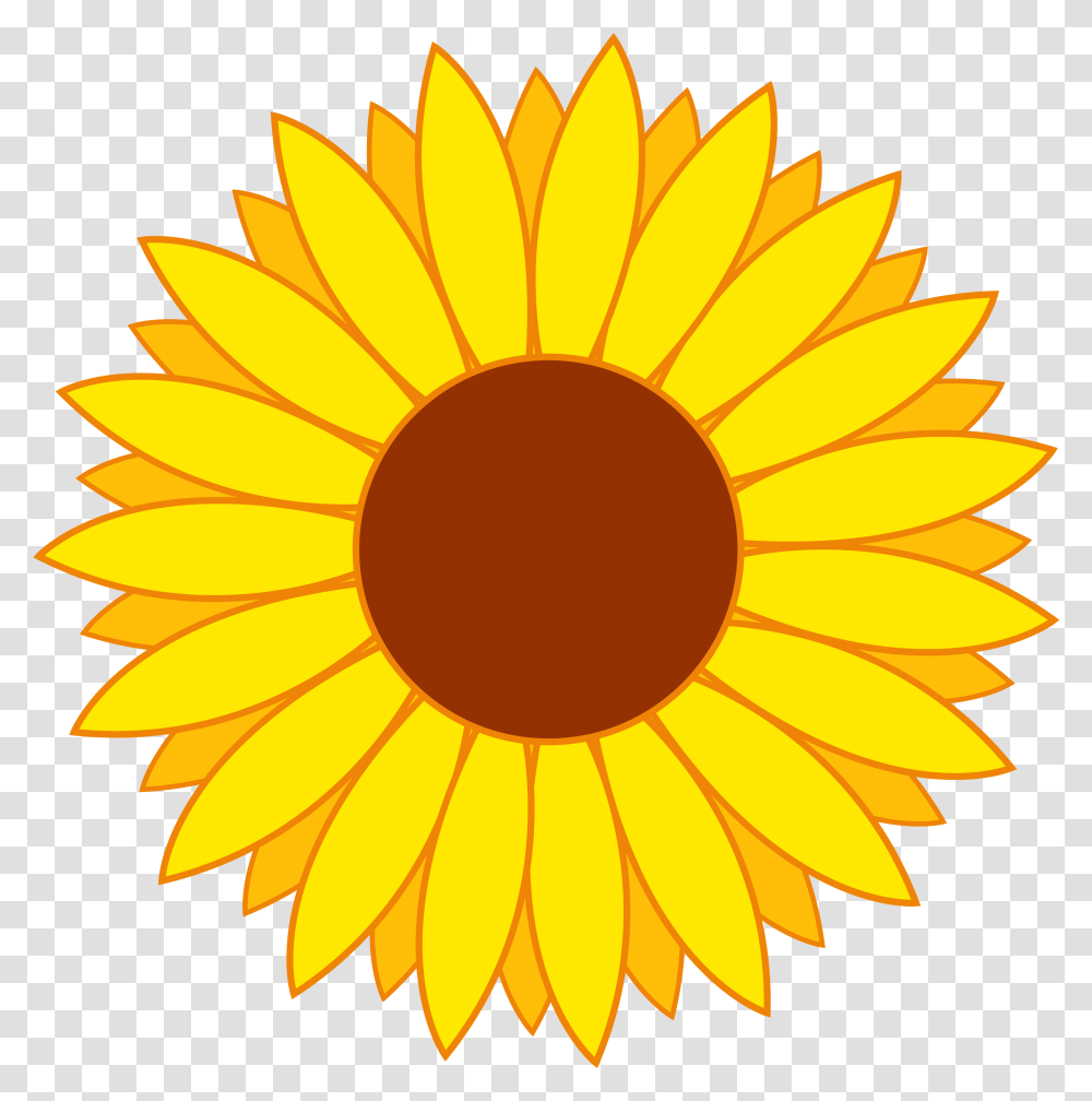 Sunflower Clipart, Plant, Blossom Transparent Png