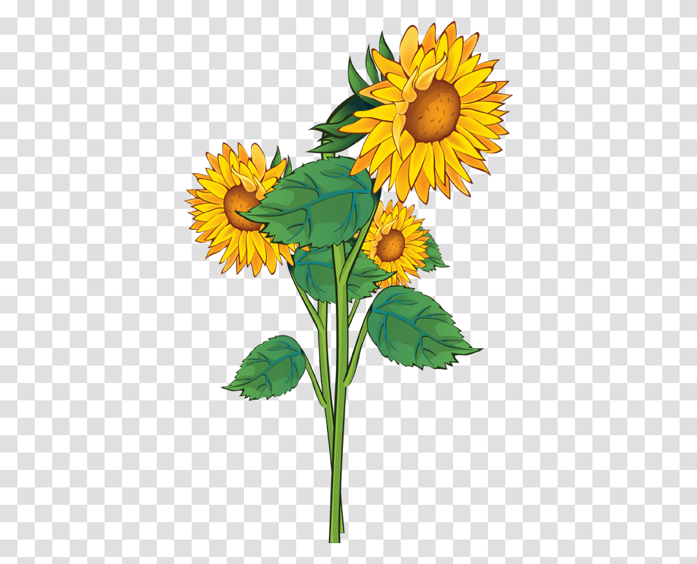 Sunflower Clipart, Plant, Blossom Transparent Png
