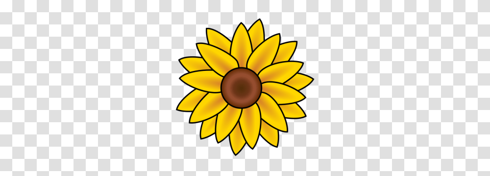 Sunflower Clipart, Plant, Lamp, Blossom, Petal Transparent Png