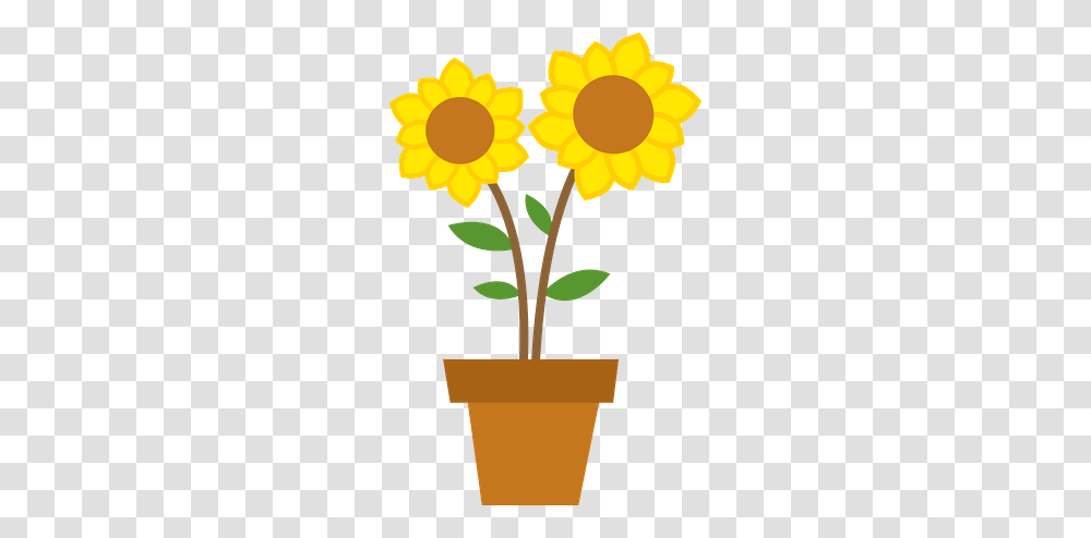 Sunflower Clipart Potted, Plant, Blossom, Cross Transparent Png