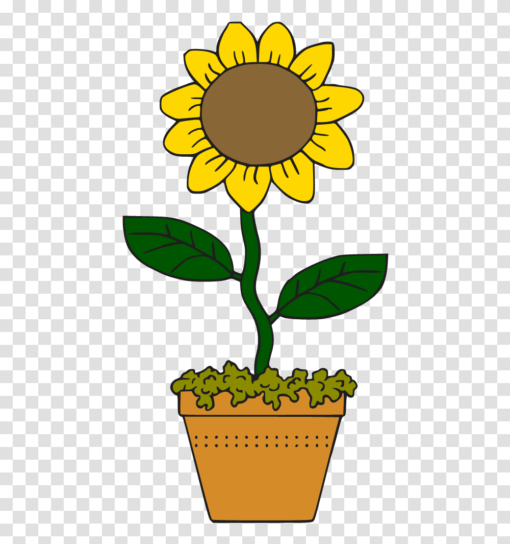 Sunflower Clipart Potted, Plant, Blossom Transparent Png