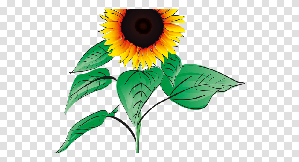 Sunflower Clipart Root Download Full Size Clipart Gambar Bunga Matahari Animasi, Plant, Blossom, Green, Vegetation Transparent Png