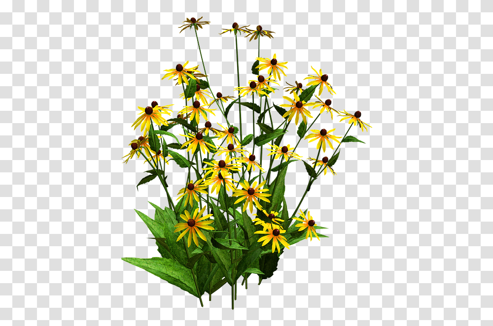Sunflower Clipart Shrub Black Eyed Susan Blackeyed Susan Flower, Plant, Flower Arrangement, Daisy, Acanthaceae Transparent Png