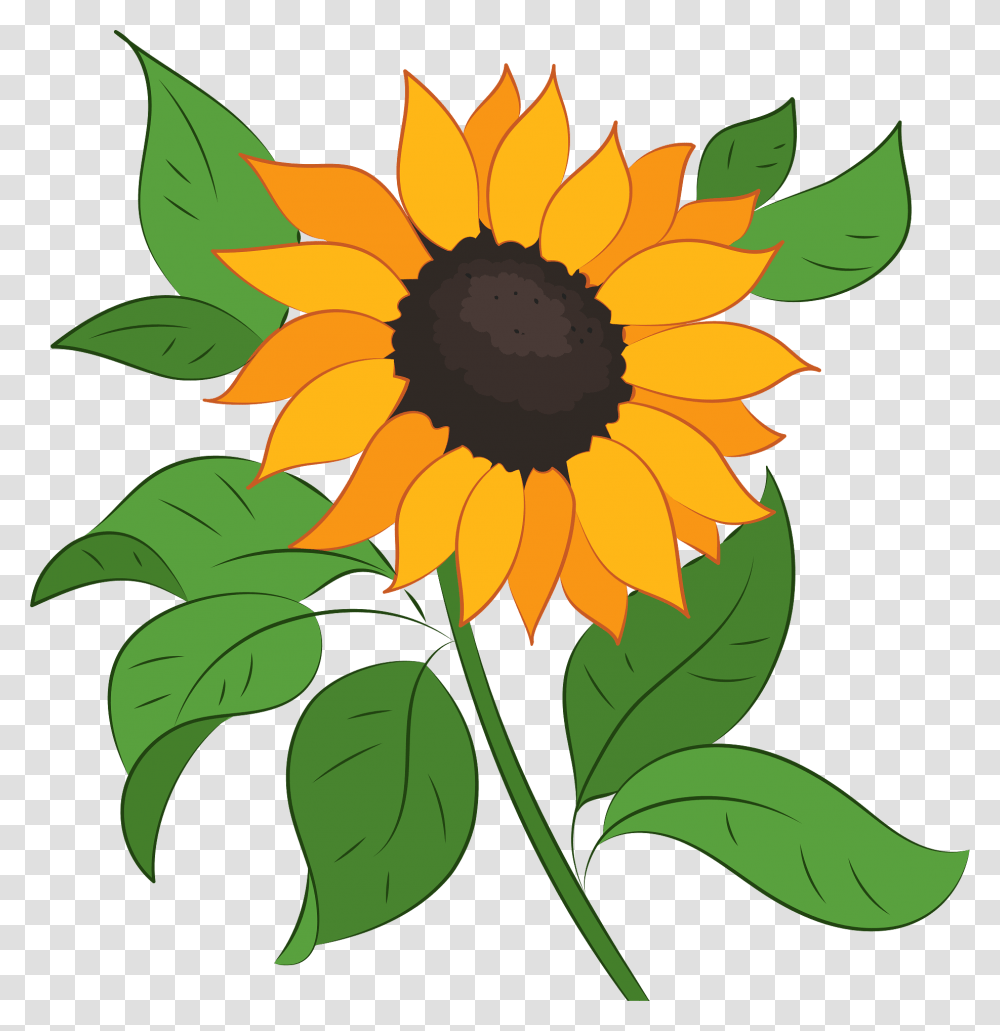 Sunflower Clipart Sunflower Clipart, Plant, Blossom, Painting Transparent Png