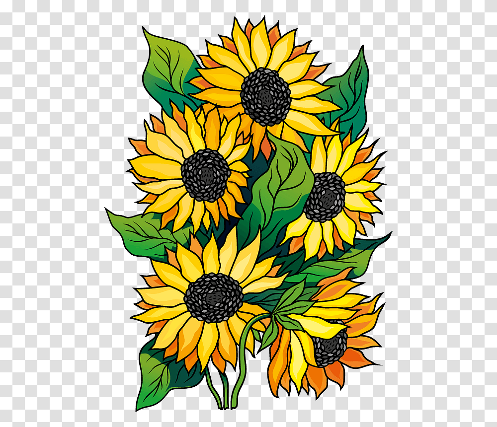 Sunflower Clipart Sunflower, Floral Design, Pattern, Plant Transparent Png