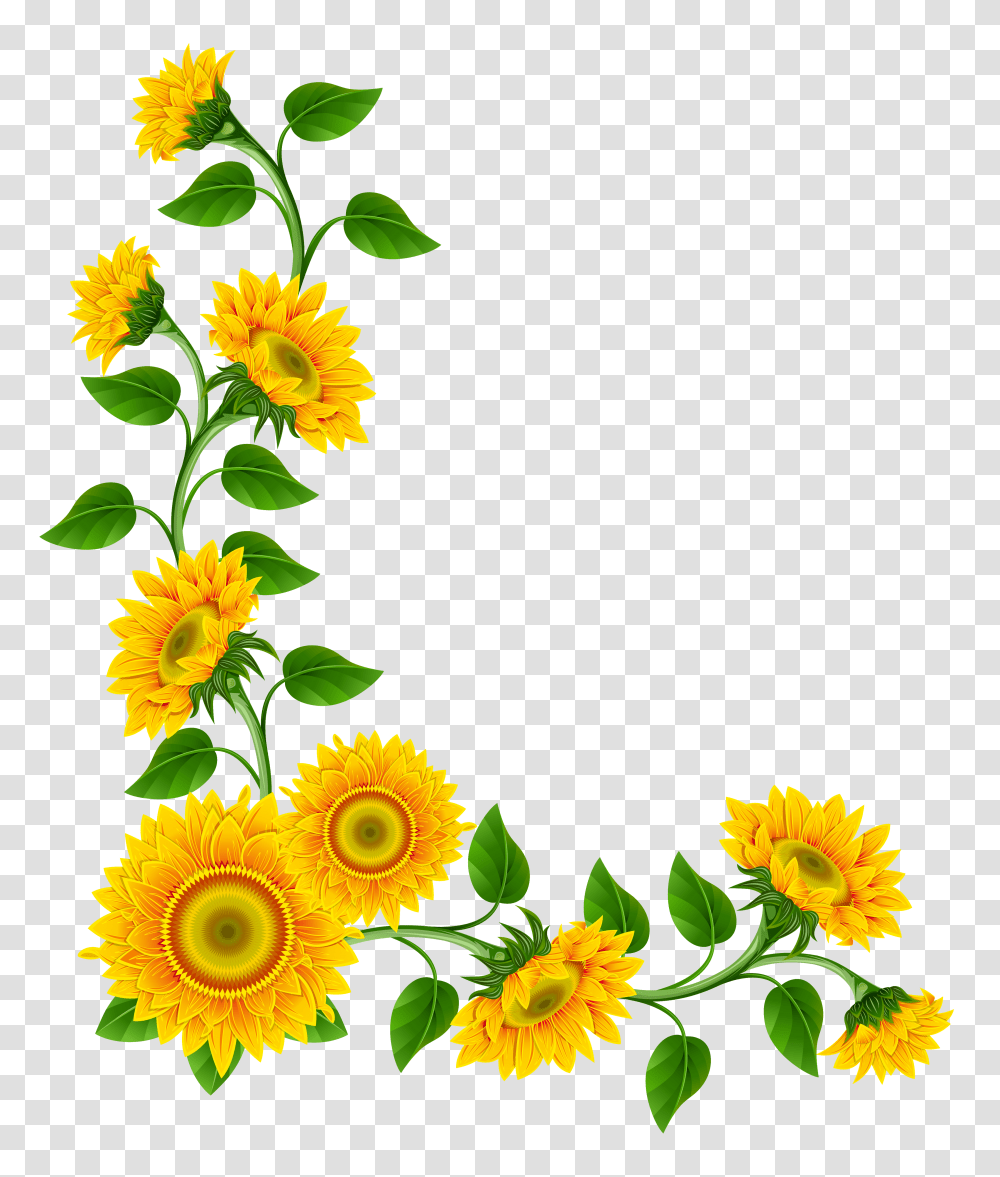 Sunflower Clipart Transparent Png