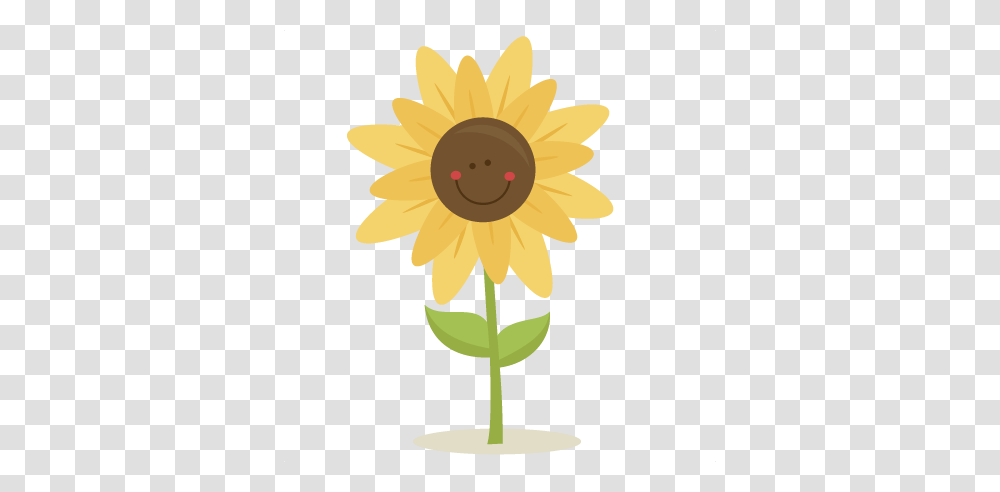 Sunflower Clipart Tree, Plant, Blossom, Lamp, Daisy Transparent Png