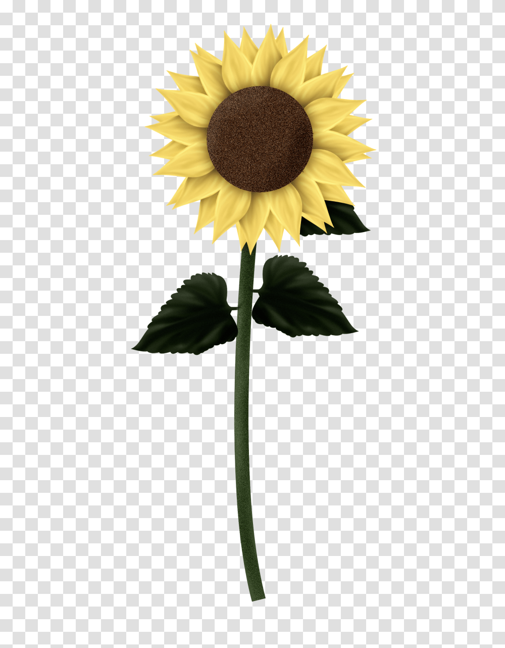 Sunflower Clipart Tree, Plant, Blossom Transparent Png