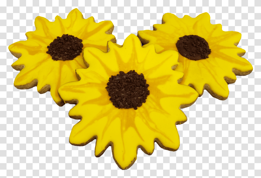 Sunflower Cookie Sunflower, Plant, Blossom, Petal, Daisy Transparent Png