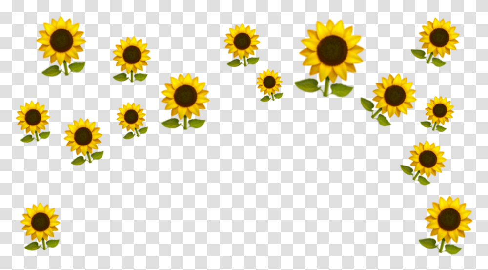 Sunflower Crown Emoji Clipart Emoji Crown, Plant, Blossom, Rug, Petal Transparent Png