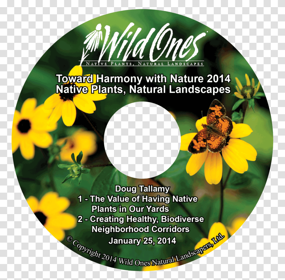 Sunflower, Disk, Dvd, Flyer, Poster Transparent Png