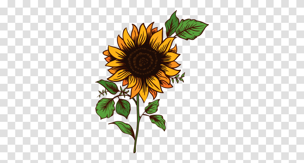 Sunflower Doodle & Clipart Free Download Ywd Sunflower Drawing, Plant, Blossom, Graphics, Floral Design Transparent Png