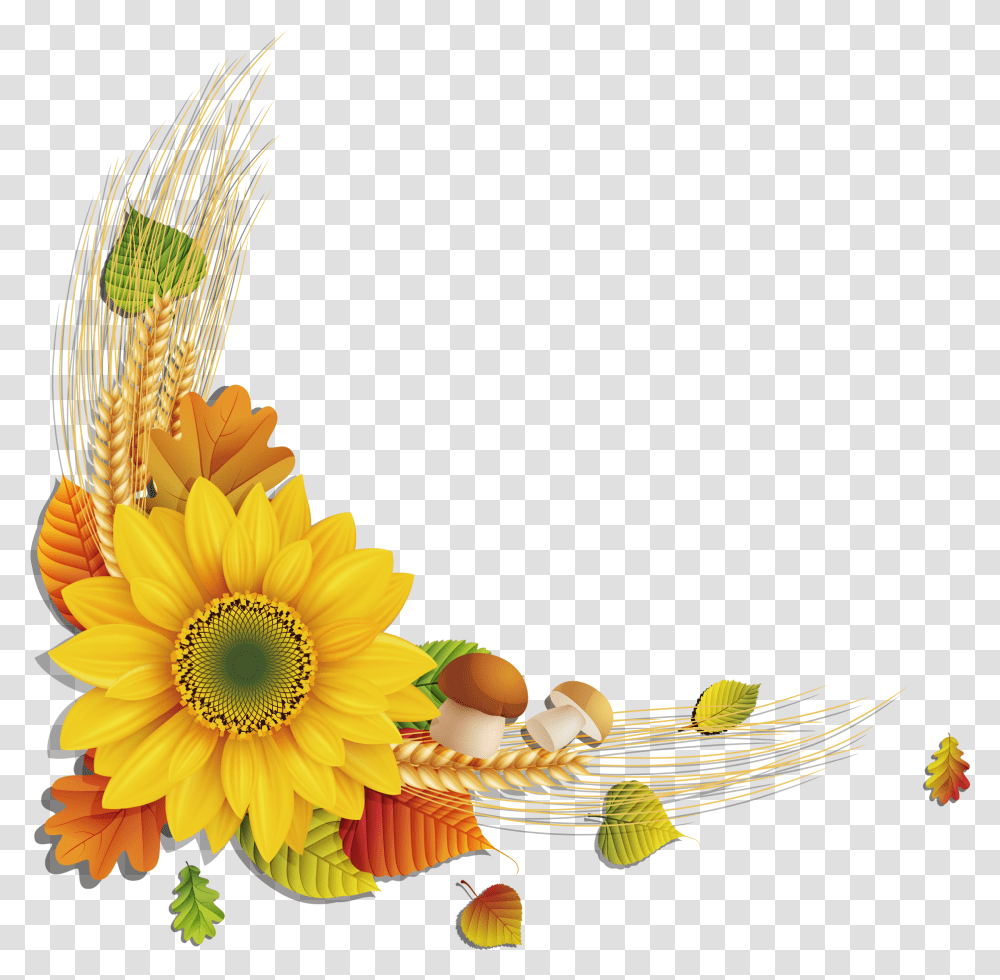 Sunflower Download Sunflower Frame, Plant, Blossom, Daisy, Flower Arrangement Transparent Png