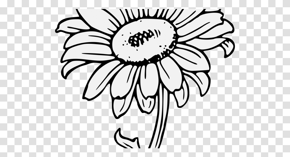 Sunflower Drawing Drawn Sunflower Traceable Black And White Sunflower Clipart, Plant, Blossom, Daisy, Daisies Transparent Png