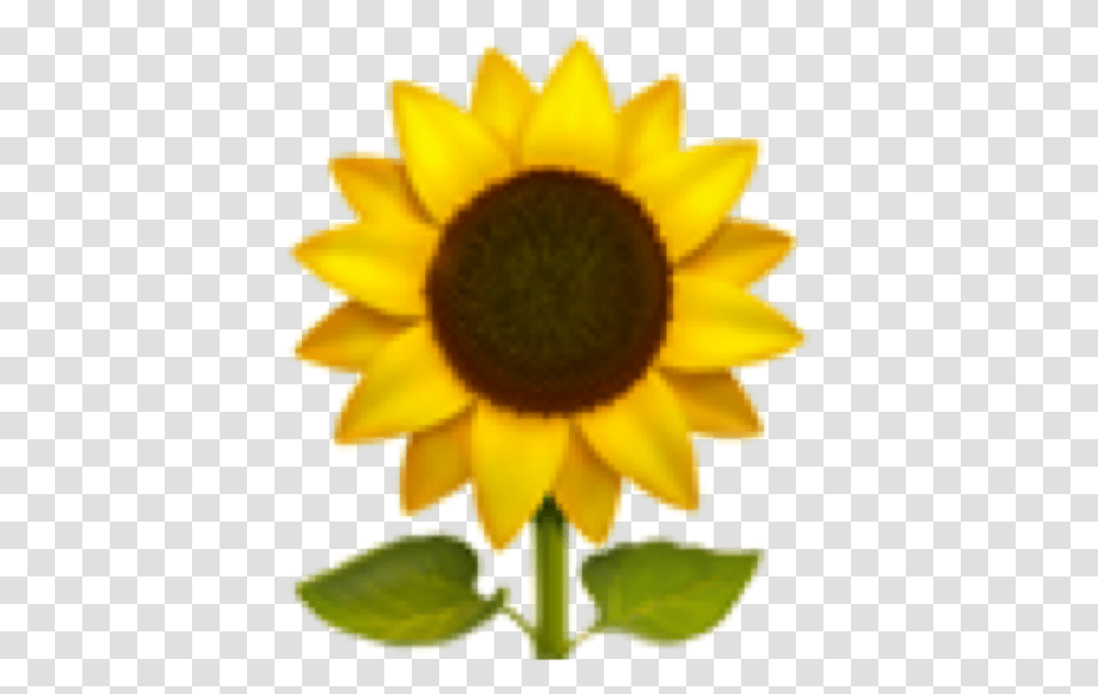 Sunflower Emoji Aesthetic Freetoedit Emojis Flower, Plant, Blossom, Fungus Transparent Png