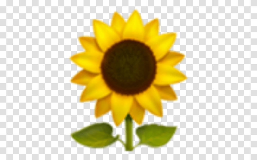 Sunflower Emoji Amp Clipart Free Iphone Sunflower Emoji, Plant, Blossom Transparent Png