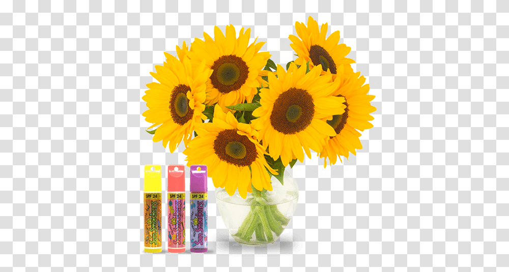 Sunflower Emoji Bay Download Original Size Artificial Flower, Plant, Blossom, Skateboard, Sport Transparent Png