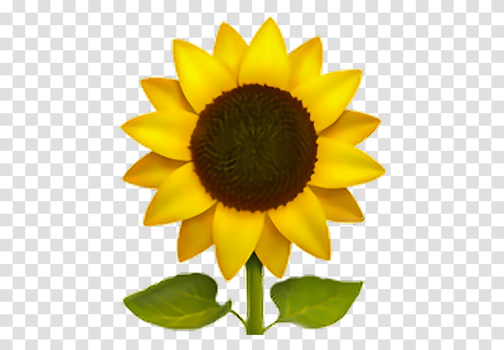 Sunflower Emoji Flower Sun Freeedit Iphone Cute Emoji Sunflower, Plant, Blossom Transparent Png