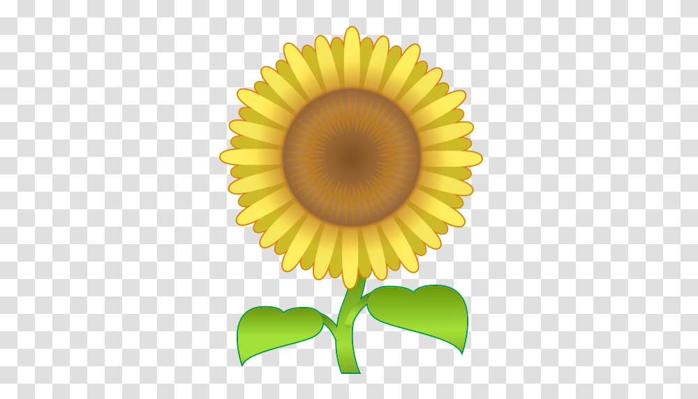 Sunflower Emoji For Facebook Email Sms Id, Lamp, Plant, Blossom, Daisy Transparent Png