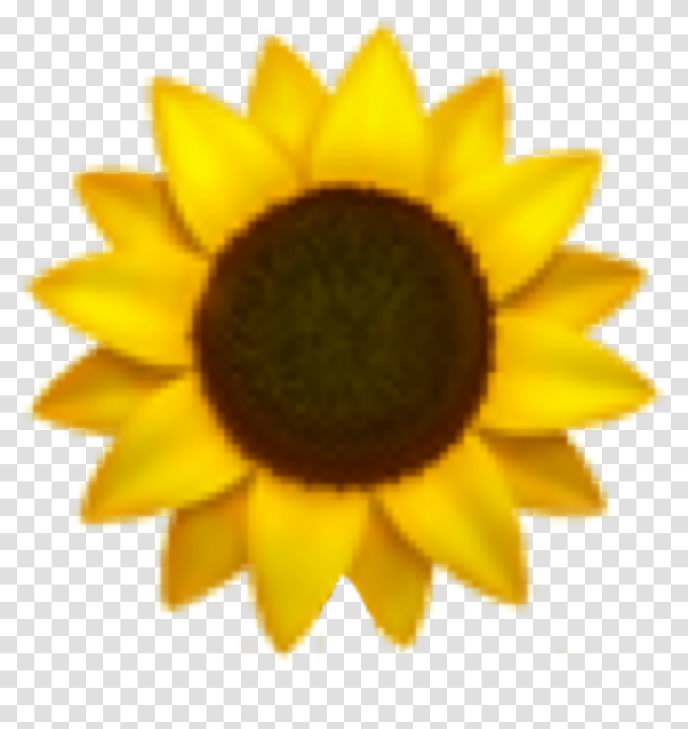 Sunflower Emoji Freetoedit Sticker Sunflower Emoji, Plant, Blossom, Fungus Transparent Png