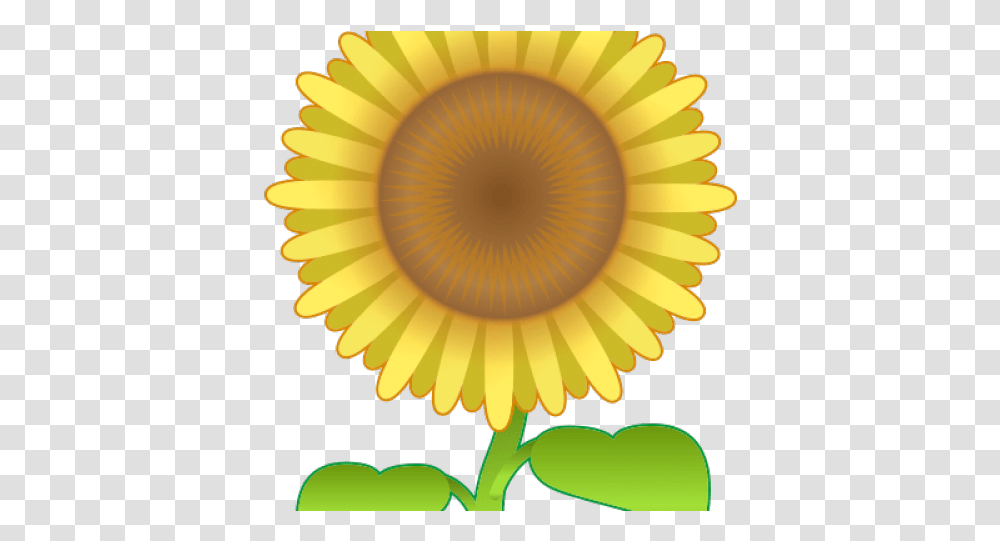 Sunflower Emoji, Lamp, Plant, Blossom, Daisy Transparent Png