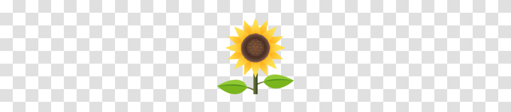 Sunflower Emoji On Emojione, Plant, Blossom, Nature, Outdoors Transparent Png