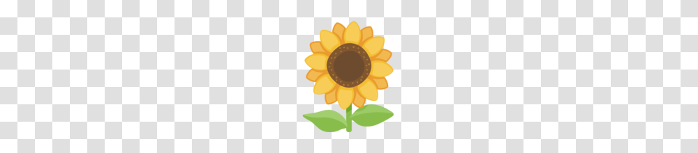 Sunflower Emoji On Facebook, Plant, Blossom, Daisy, Daisies Transparent Png
