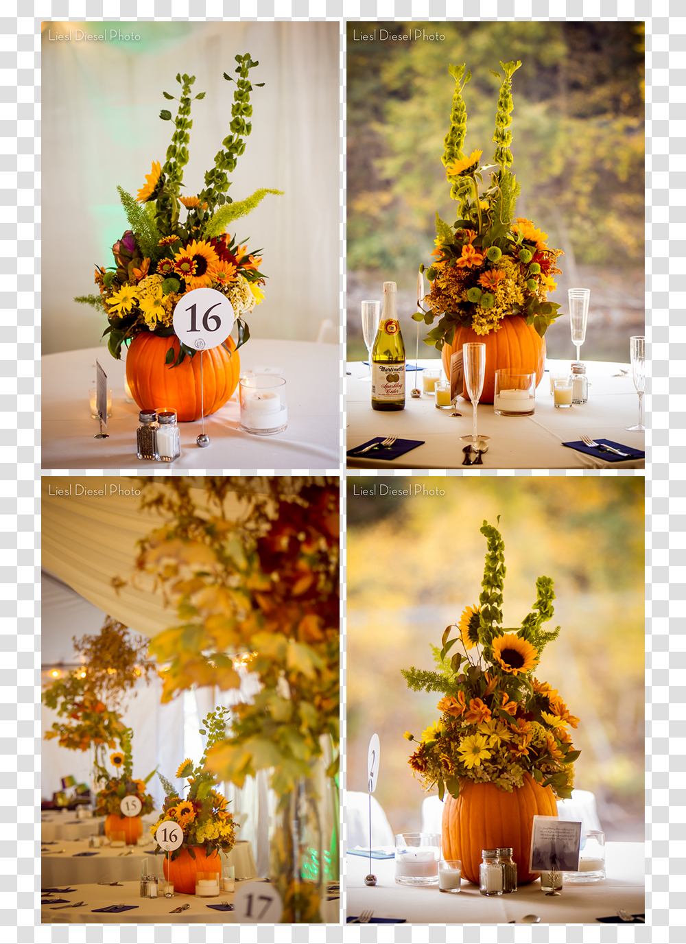 Sunflower Fall Theme Wedding, Plant, Collage, Poster, Advertisement Transparent Png