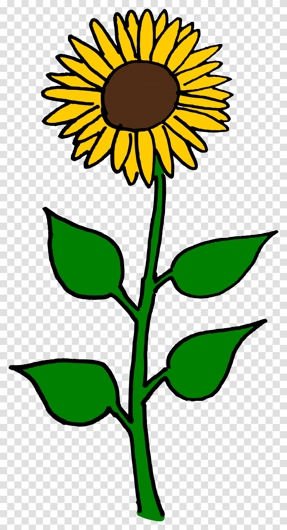 Sunflower Flower Clipart, Plant, Leaf, Daisy Transparent Png